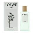 Women s Perfume Loewe A MI AIRE EDT 100 ml Online Hot Sale