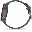 Smartwatch GARMIN Forerunner 255 Black Grey 1,3  Sale