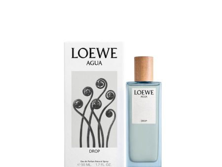 Women s Perfume Loewe AGUA DE LOEWE ELLA EDP 100 ml Cheap